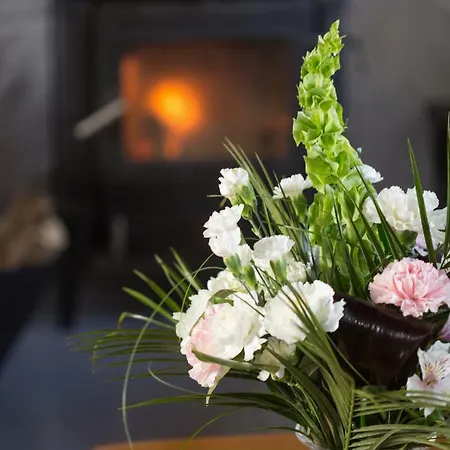 Dunguaire Thatched 度假居 *