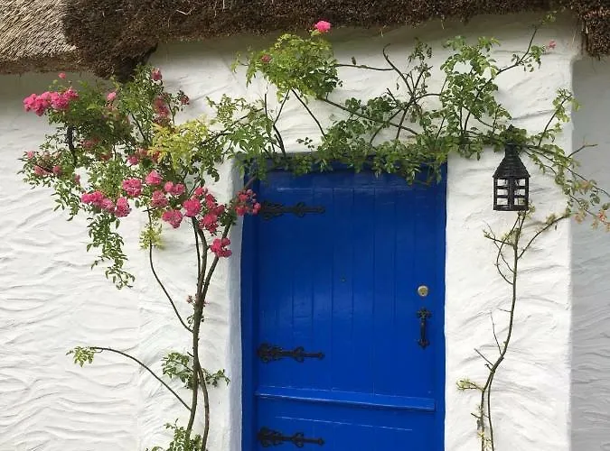 Dunguaire Thatched Semesterbostad Galway